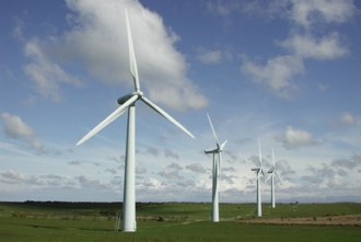 Stemma Group