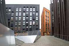 090105_rotermann.jpg
