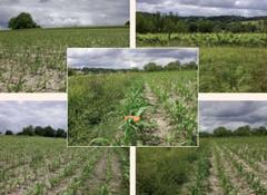 101006_Lucas_eu.jpg 101006_Lucas_eu.jpg