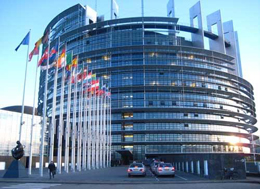 Different steps in the infringements procedure 