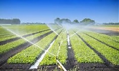European agriculture: policy’s effect for the Baltic States and Latvia European agriculture: policy’s effect for the Baltic States and Latvia