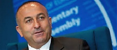 Turkey did not fully approve NATO's Baltic defense plan - Cavusoglu Turkey did not fully approve NATO's Baltic defense plan - Cavusoglu