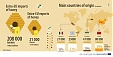 Where does our honey come from? Where does our honey come from?