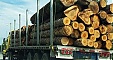 The year 2013 was positive for the Estonian timber industry The year 2013 was positive for the Estonian timber industry