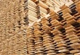 Latvian exports of forestry products up 19.8% in January-February Latvian exports of forestry products up 19.8% in January-February