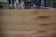 Latvia: AmberBirch veneer maker to start shipping products to European countries soon Latvia: AmberBirch veneer maker to start shipping products to European countries soon