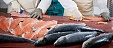 Estonia: PRFoods subsidiary to expand fish farm in Sweden Estonia: PRFoods subsidiary to expand fish farm in Sweden