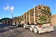 Latvian exports of forestry products down 10.7%, imports off 9.8% in 4 months Latvian exports of forestry products down 10.7%, imports off 9.8% in 4 months