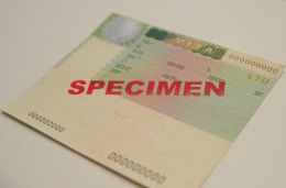 111223_scheng_viza_lt.jpg