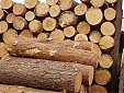 Import of timber from Russia to Estonia has fallen 70 times
