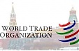 Pavluts: Latvia waited 20 years for Russia to join WTO Pavluts: Latvia waited 20 years for Russia to join WTO