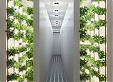 Click & Grow puts wall farms on the market Click & Grow puts wall farms on the market