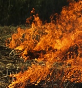 First forest fires of this year recorded in Latvia First forest fires of this year recorded in Latvia