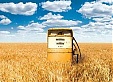 Biofuel price in Lithuania is at its record low level in April Biofuel price in Lithuania is at its record low level in April