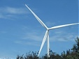 Estonian watchdog: Sonajalg brothers may continue Aidu wind farm construction Estonian watchdog: Sonajalg brothers may continue Aidu wind farm construction