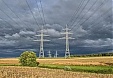 Electricity bourse price at NPS at lowest level in almost 2 years in March Electricity bourse price at NPS at lowest level in almost 2 years in March