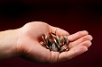 Estonian government to take 172 mln euros of dividends from state-owned companies Estonian government to take 172 mln euros of dividends from state-owned companies