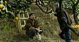 Vilnius, Tallinn, Riga to show Baltic movies for free Vilnius, Tallinn, Riga to show Baltic movies for free