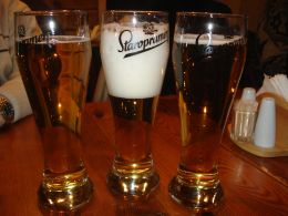 120214_pivo_beer.JPG