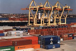 Dry bulk cargo volume growth by 10%