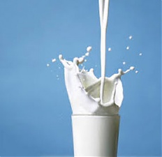 160915_milk.jpg