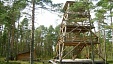 Estonian RMK boosts profits in 2014 Estonian RMK boosts profits in 2014