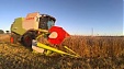Most of the crops have been harvested in Estonia Most of the crops have been harvested in Estonia