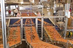 Balticovo profit plummets in 2012 due to lower egg prices Balticovo profit plummets in 2012 due to lower egg prices