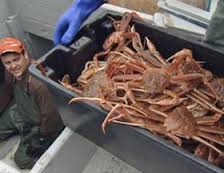 Latvian fishers want EU compensations for ships' idle standing due to crabbing ban Latvian fishers want EU compensations for ships' idle standing due to crabbing ban