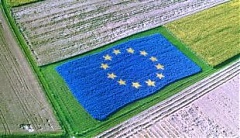 Baltics, Poland call for unification of direct payments to farmers Baltics, Poland call for unification of direct payments to farmers