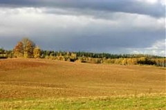 Latvia: Land Fund has acquired 200 properties for EUR 14 mln in 9 months Latvia: Land Fund has acquired 200 properties for EUR 14 mln in 9 months