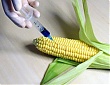 Rimi Lietuva products contain genetically modified organisms Rimi Lietuva products contain genetically modified organisms
