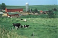 Agricultural census starts in Estonia