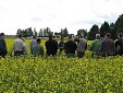 Estonian farmers look for higher subsidies Estonian farmers look for higher subsidies