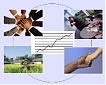 Foreign-controlled enterprises created one third of total value-added in Lithuania in 2010 Foreign-controlled enterprises created one third of total value-added in Lithuania in 2010