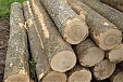 Stora Enso Latvija increased turnover and profit in 2011 Stora Enso Latvija increased turnover and profit in 2011