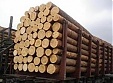 Estonian timber industry increased sales by 15% in 2011 Estonian timber industry increased sales by 15% in 2011