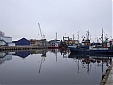 Latvian small ports' cargo turnover down 9.6% in first 7 months Latvian small ports' cargo turnover down 9.6% in first 7 months