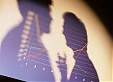 Schneider: shadow economy in Latvia at 25.5% of GDP in 2013 Schneider: shadow economy in Latvia at 25.5% of GDP in 2013