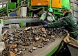Hazardous waste incineration facility in Siauliai faces delays Hazardous waste incineration facility in Siauliai faces delays