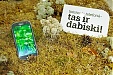 Tele2: mobile Internet usage in Latvian Kurzeme grows by 117% Tele2: mobile Internet usage in Latvian Kurzeme grows by 117%