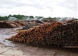 Latvian Sawmill Vika Wood turns over EUR 55.98 mln in 2013 Latvian Sawmill Vika Wood turns over EUR 55.98 mln in 2013