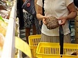 Number of low-income persons in Latvia lower than 3% for first time in two years Number of low-income persons in Latvia lower than 3% for first time in two years