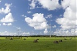 Eesti Energia to merge renewable energy production Eesti Energia to merge renewable energy production