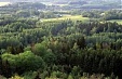 Q1 turnover of LVM forest manager profit drops Q1 turnover of LVM forest manager profit drops