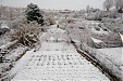 Bad weather in Spain pushes up vegetable prices in Lithuania Bad weather in Spain pushes up vegetable prices in Lithuania