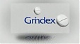 Government considers suing Grindex shareholders over sale of the company's state-owned shares Government considers suing Grindex shareholders over sale of the company's state-owned shares