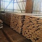 Latvian timber products are exported to more than 100 countries of the world Latvian timber products are exported to more than 100 countries of the world