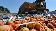 Putin extends embargo on Western food imports through 2018 Putin extends embargo on Western food imports through 2018