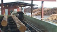 Vika Wood sees 0.8% increase in turnover in 2016 Vika Wood sees 0.8% increase in turnover in 2016